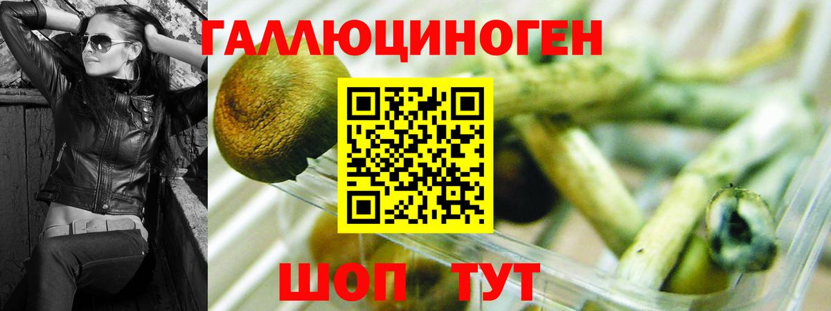 Галлюциногенные грибы мухоморы  Вход с VPN  наркотики  Карачаевск 